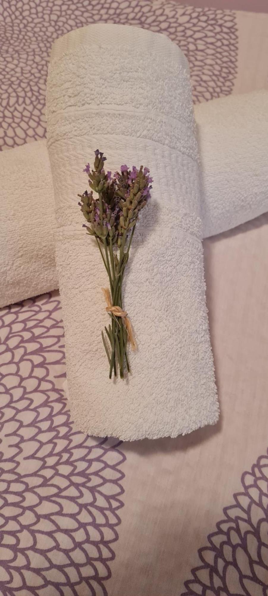 Apartment Lavanda Starigrad Paklenica Exteriör bild